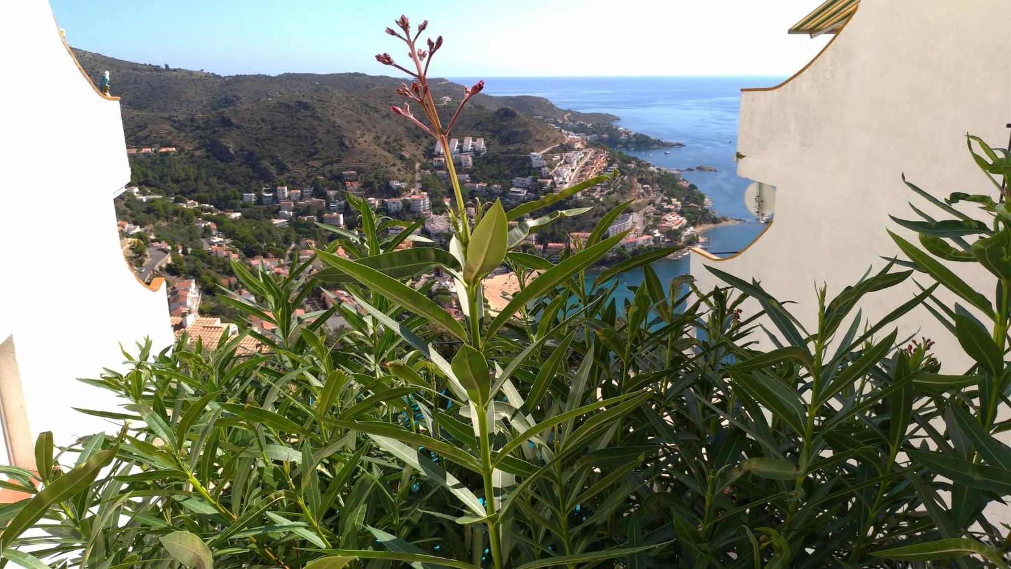 Impresionantes Vistas Del Mar En Roses, Canyelles Av-37 エクステリア 写真